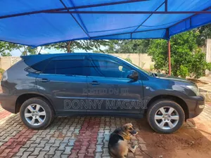 Toyota Harrier 2006 Gray