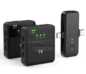 X31 Double Mic Wireless Microphone