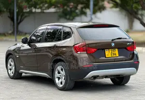 BMW X1 2011 Brown