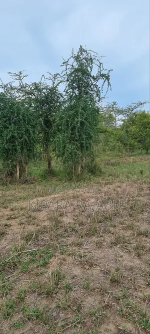 Shamba Rinauzwa Kiwangwa Bagamoyo Pwani