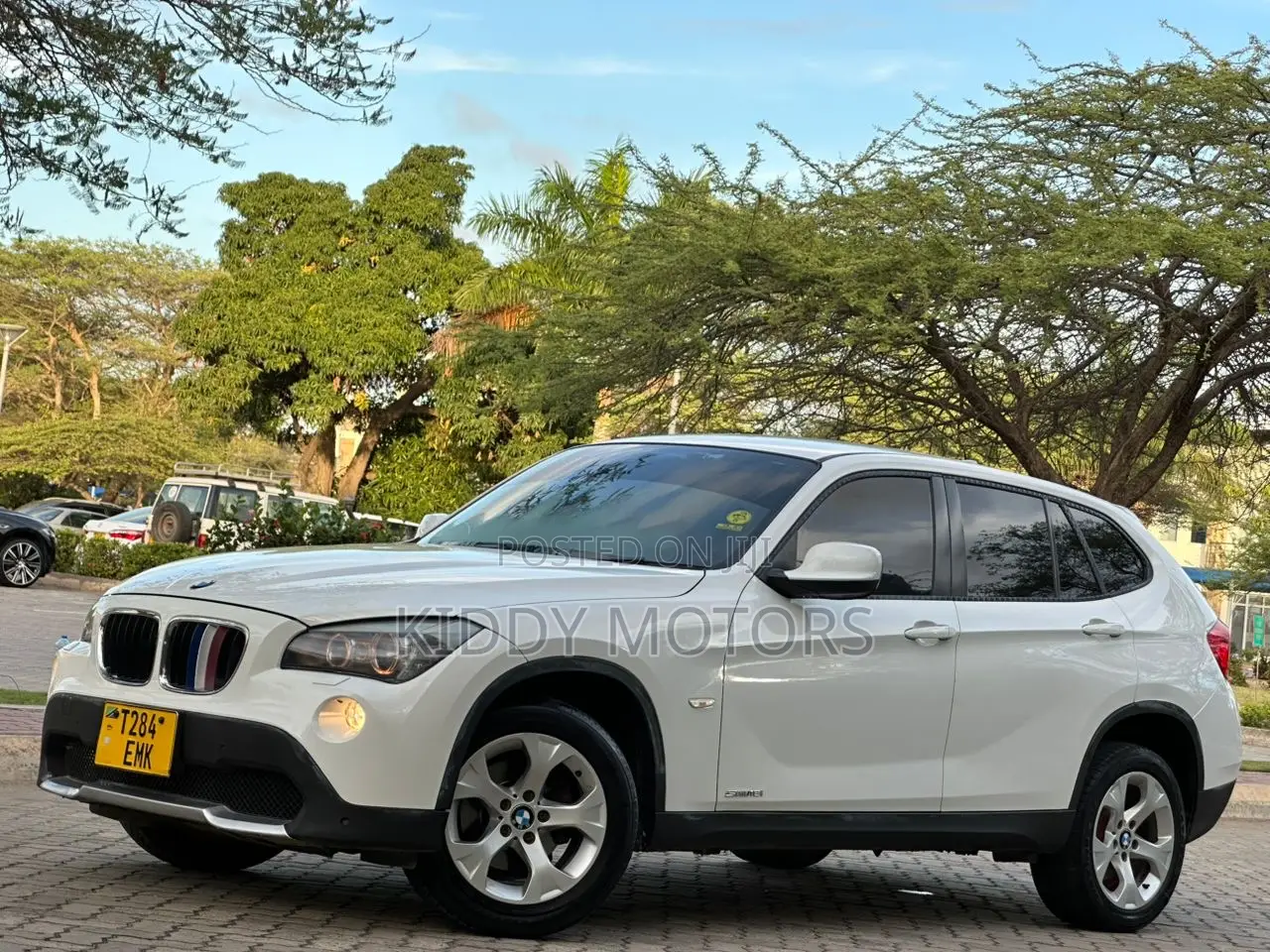 BMW X1 2011 Pearl