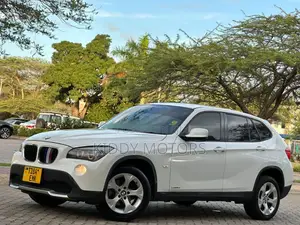 BMW X1 2011 Pearl