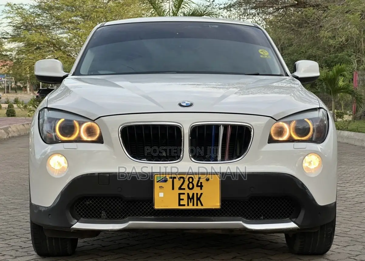 BMW X1 2011 Pearl