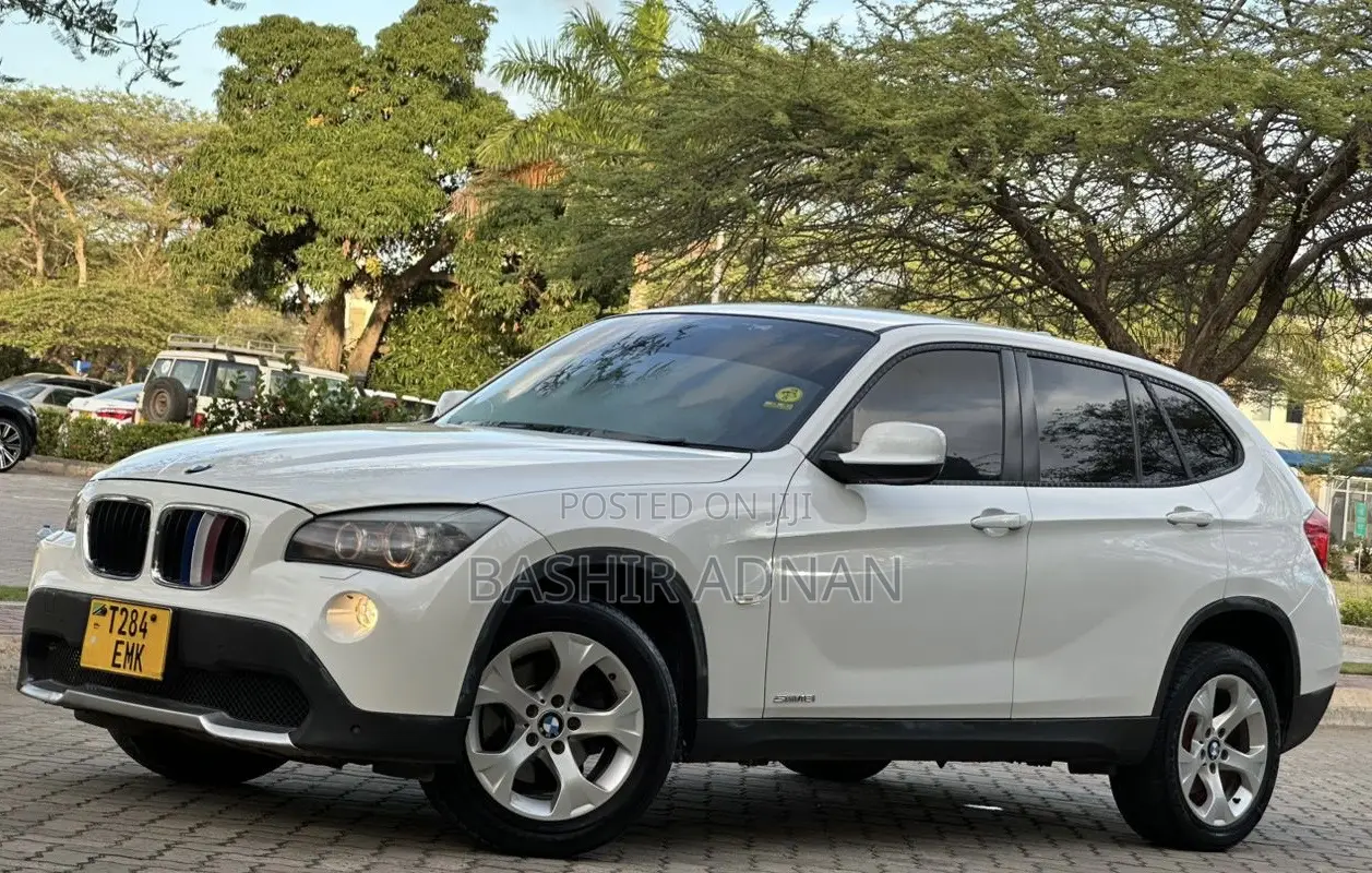 BMW X1 2011 Pearl