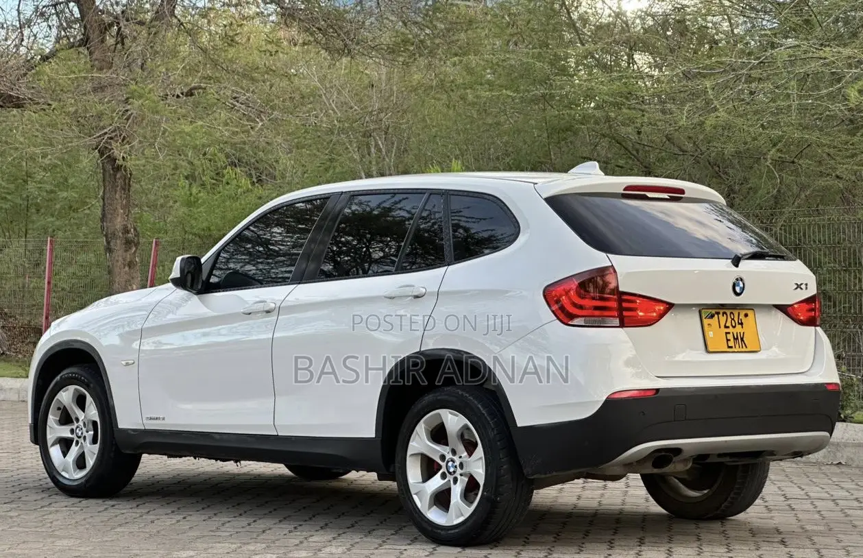 BMW X1 2011 Pearl