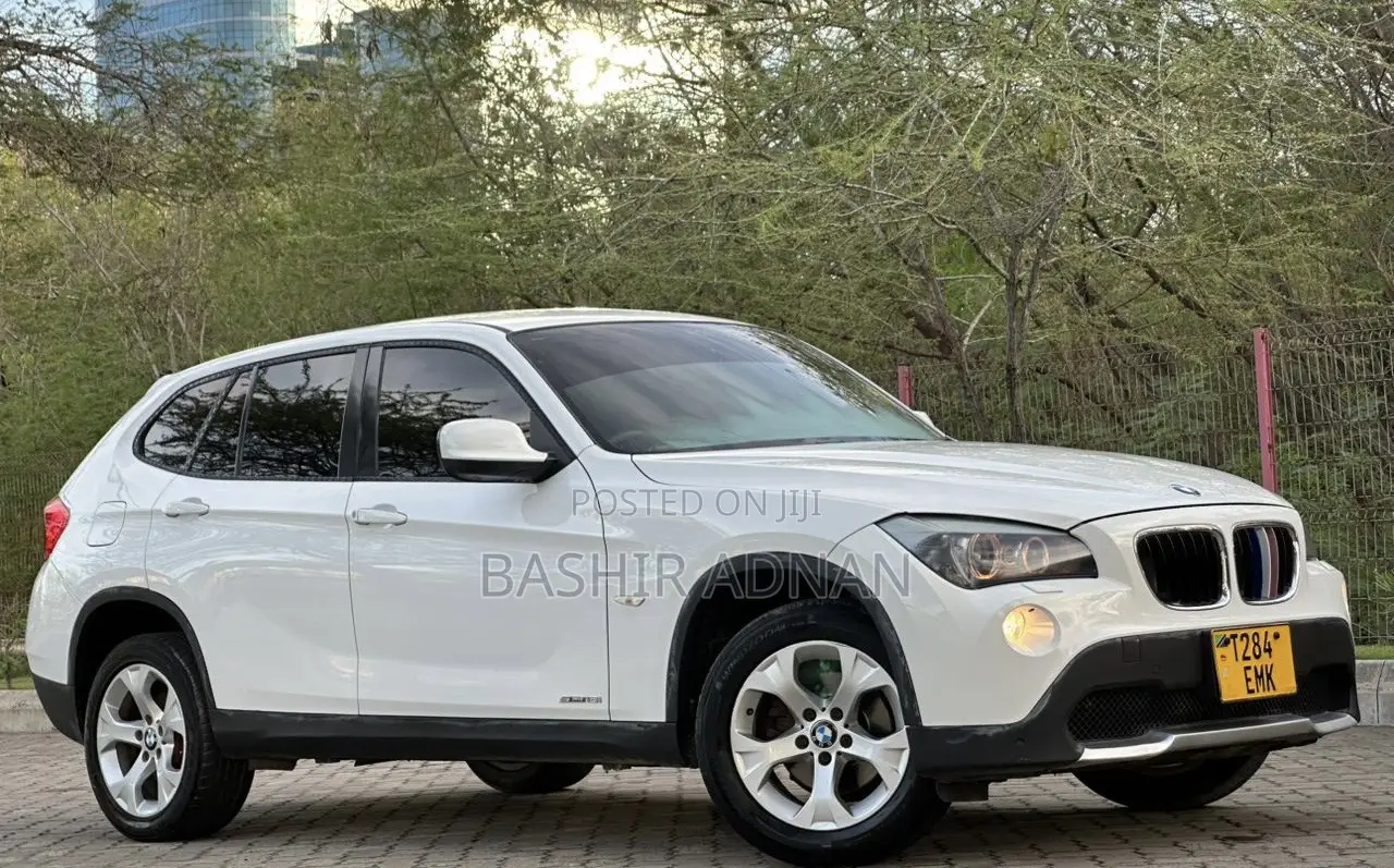 BMW X1 2011 Pearl