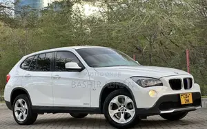 BMW X1 2011 Pearl