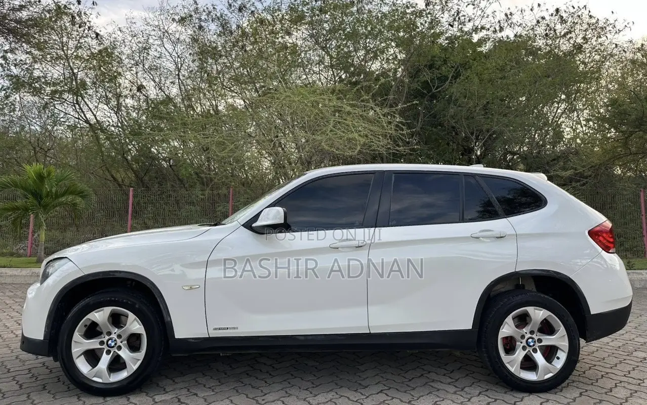 BMW X1 2011 Pearl