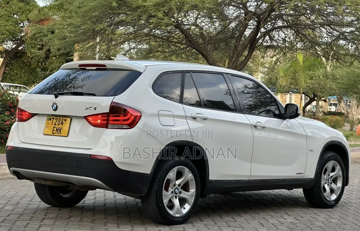 BMW X1 2011 Pearl