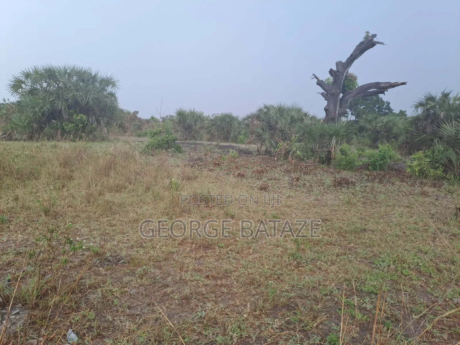 Kiwanja Kinauzwa:Mataya-bagamoyo