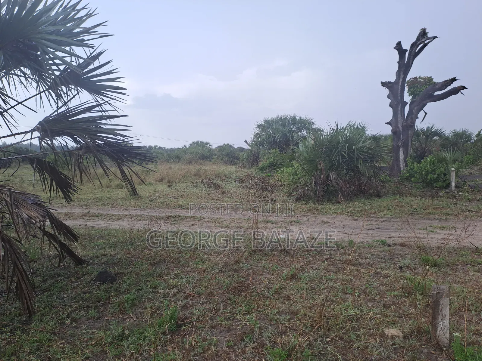 Kiwanja Kinauzwa:Mataya-bagamoyo