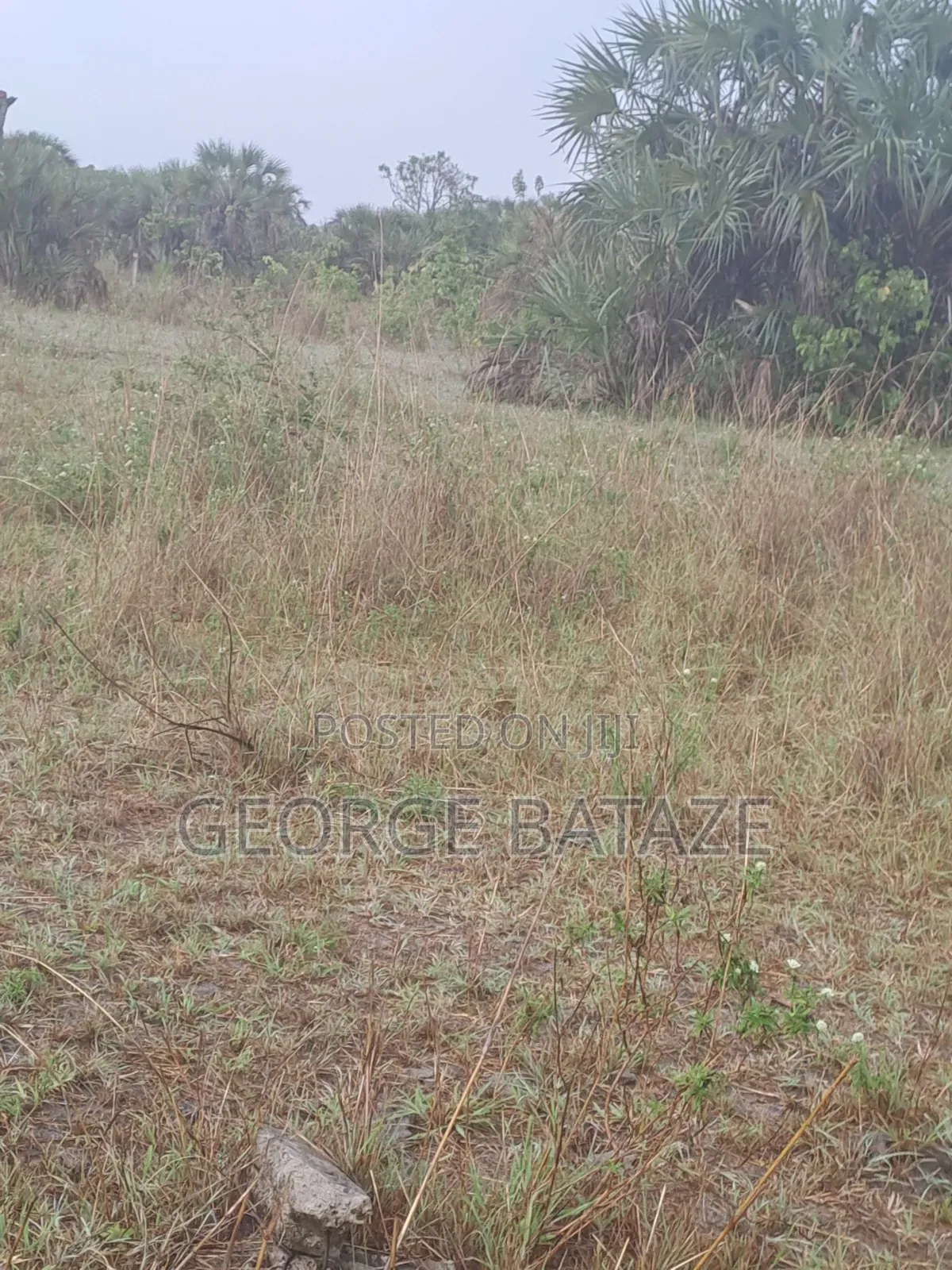 Kiwanja Kinauzwa:Mataya-bagamoyo