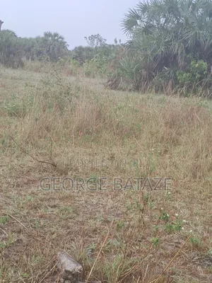 Kiwanja Kinauzwa:Mataya-bagamoyo