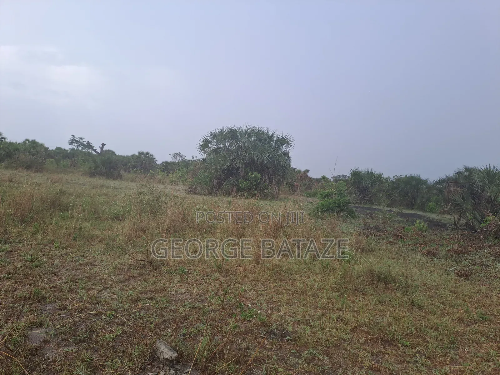 Kiwanja Kinauzwa:Mataya-bagamoyo