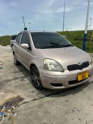 Toyota Vitz 2002 Pink