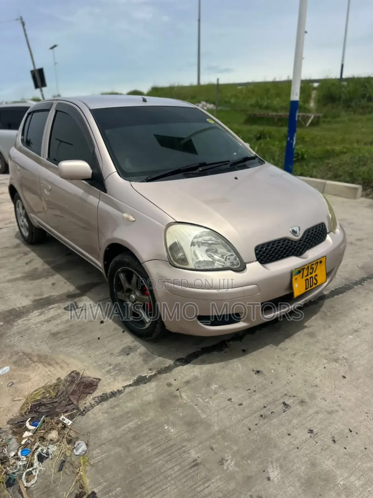 Toyota Vitz 2002 Pink