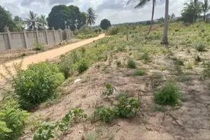 Kiwanja Mbweni