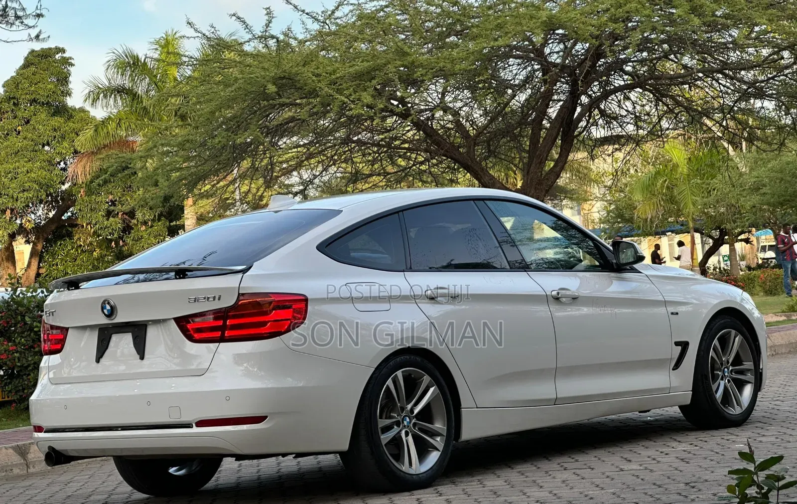 BMW 3 Series 2013 Pearl