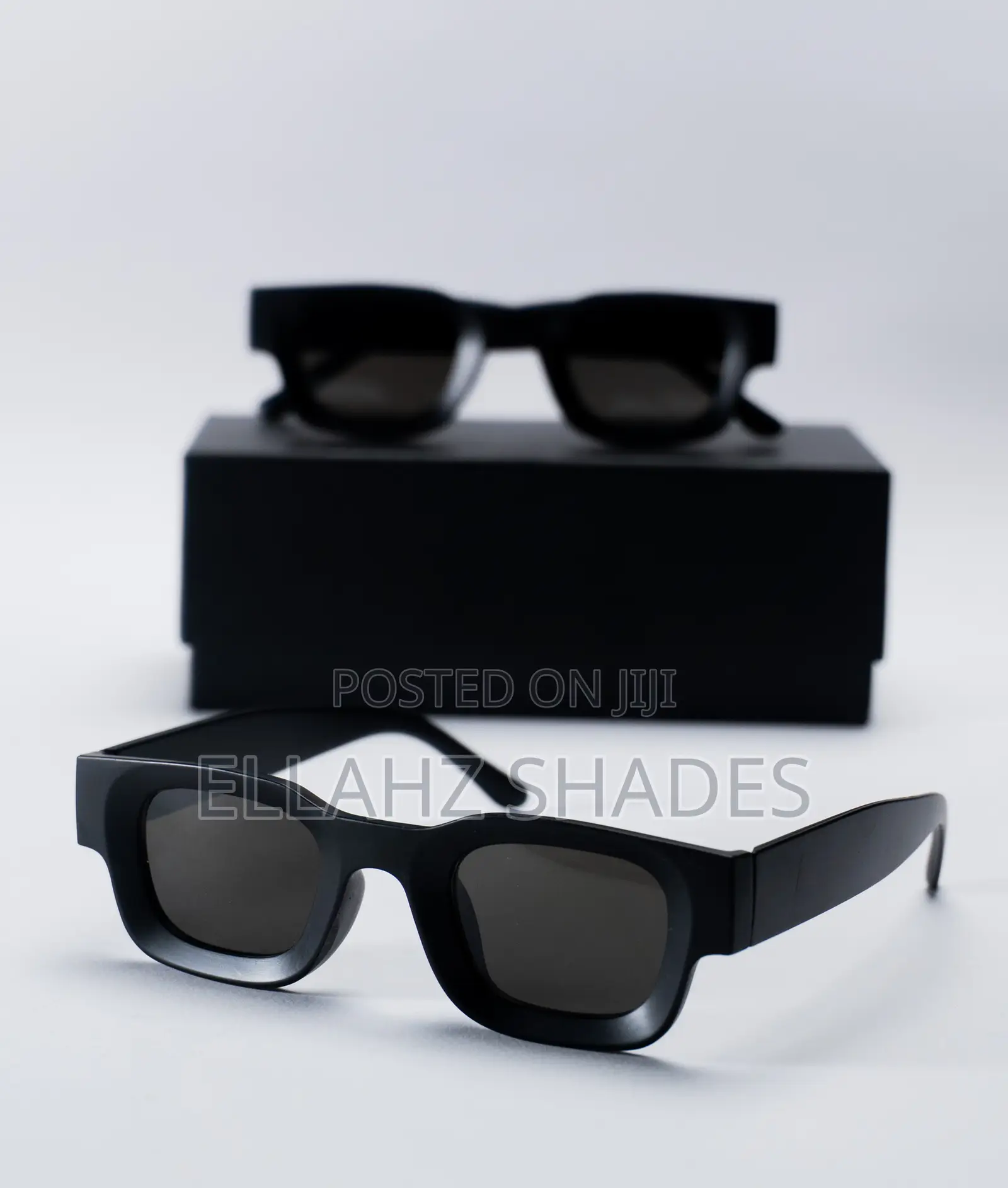 Sunnies in Style