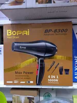 Electric Hair Dryer
