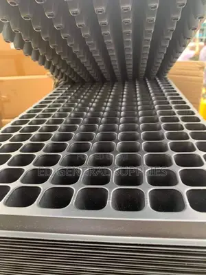 Seed Trays