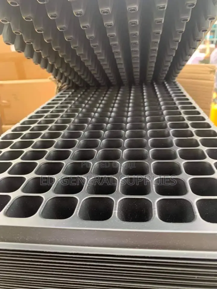 Seed Trays