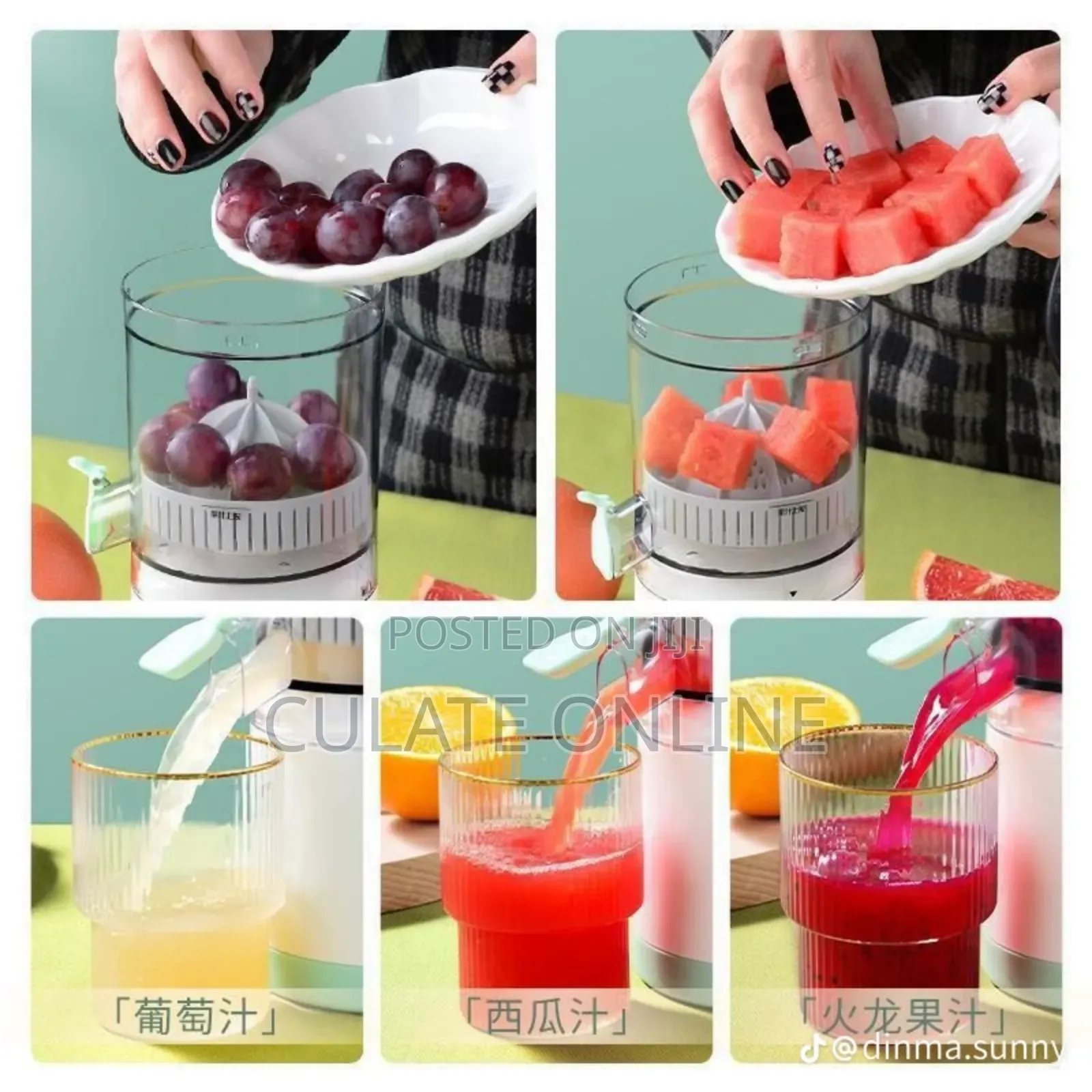 Rechargeable Citrus Juicer
