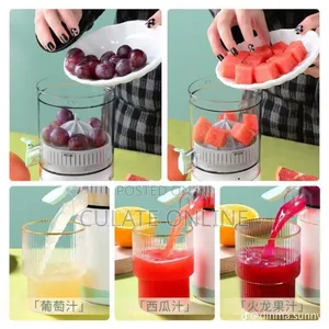 Rechargeable Citrus Juicer
