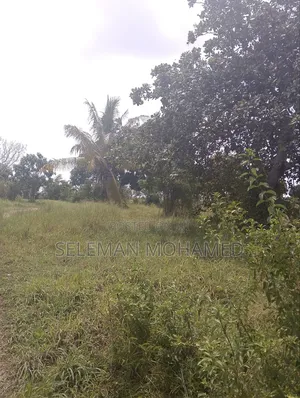 Kiwanja Kinauzwa Kigamboni Baiskel