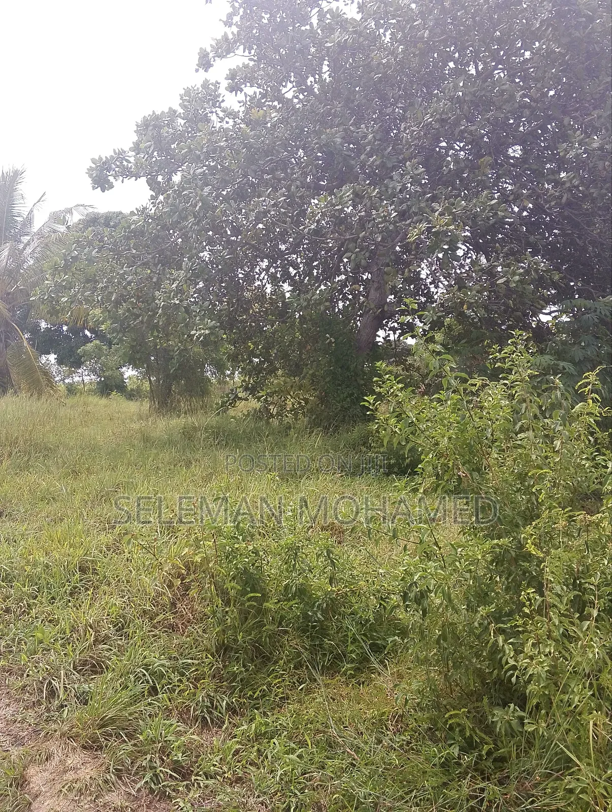 Kiwanja Kinauzwa Kigamboni Baiskel