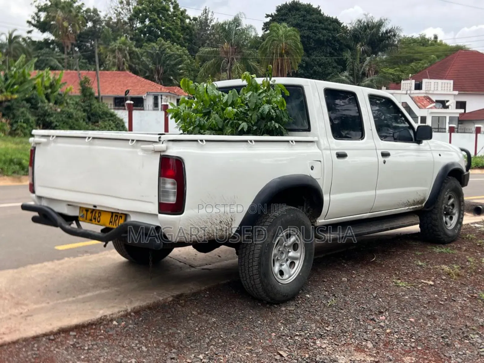 Nissan Hardbody 2005 White