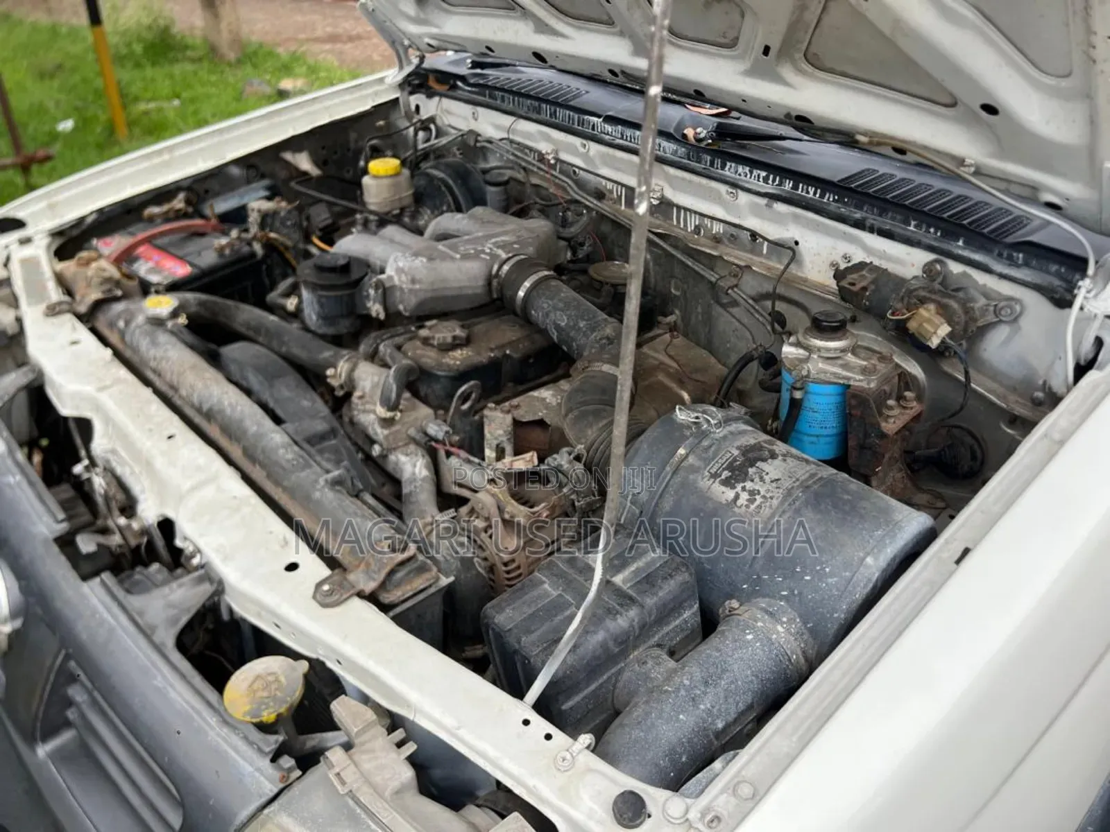 Nissan Hardbody 2005 White