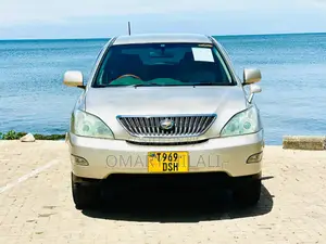 Toyota Harrier 2004 Gold