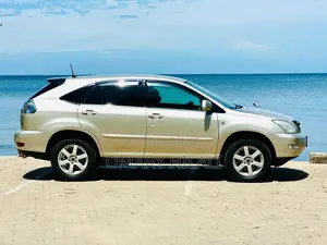Toyota Harrier 2004 Gold