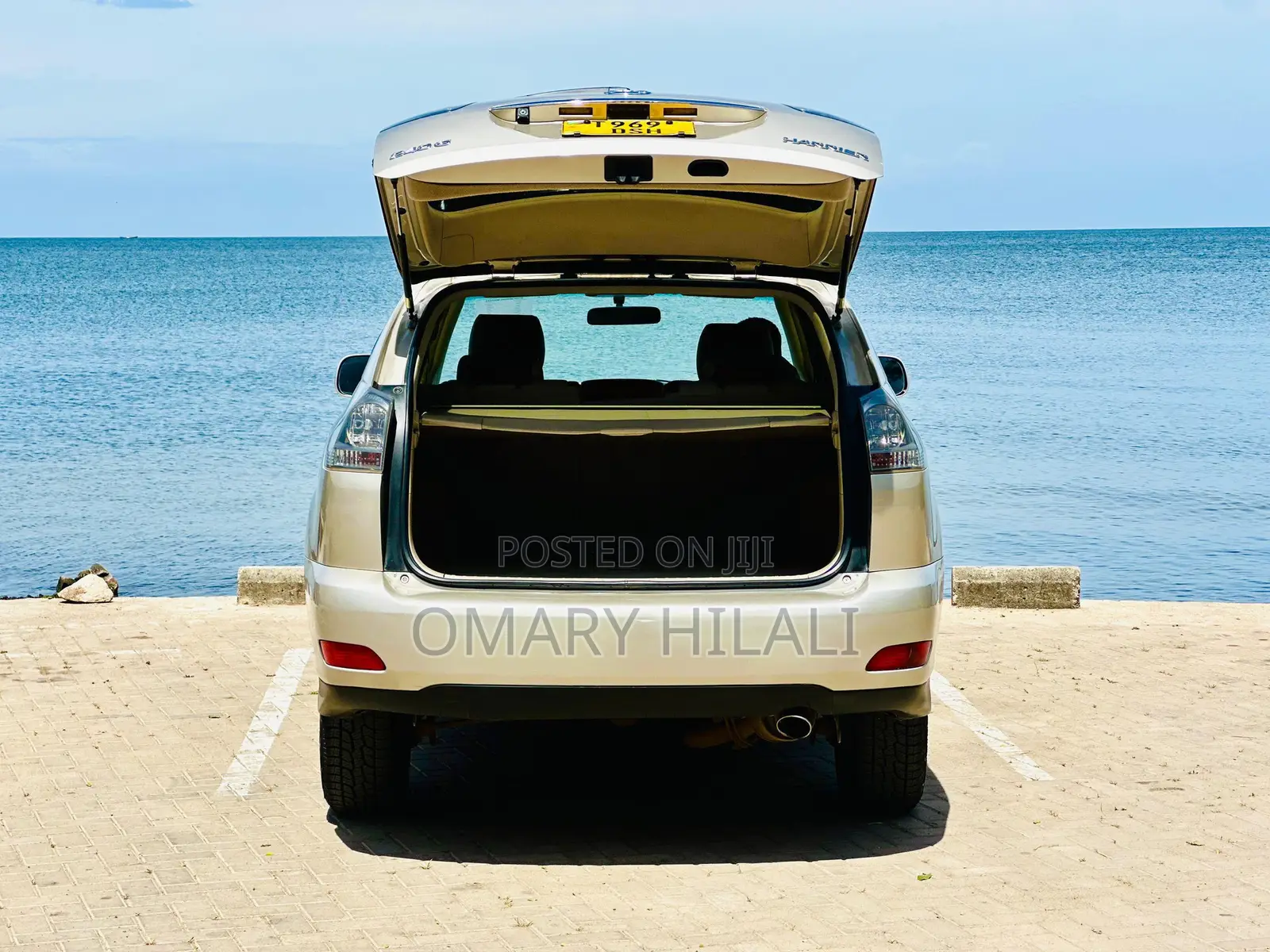 Toyota Harrier 2004 Gold