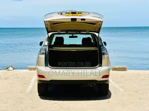 Toyota Harrier 2004 Gold