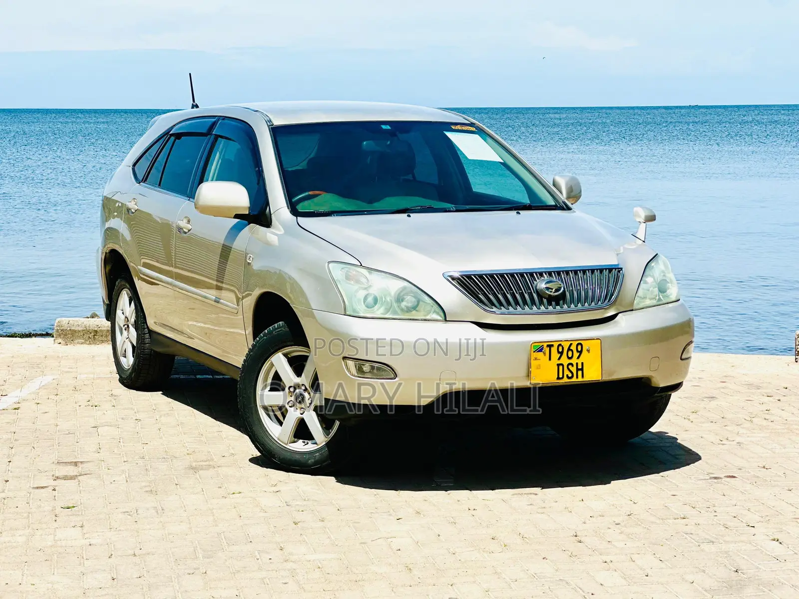 Toyota Harrier 2004 Gold