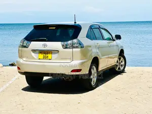 Toyota Harrier 2004 Gold