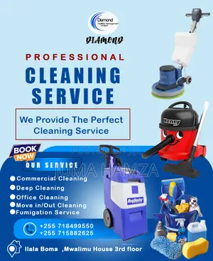 Diamond Cleaning Service