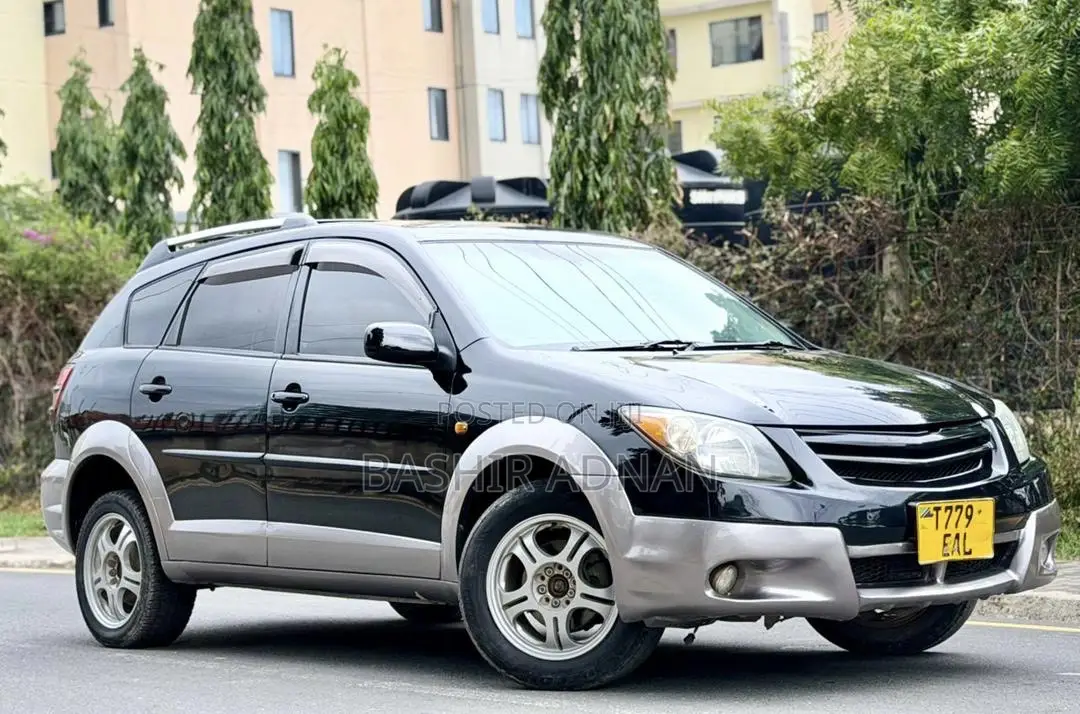 Toyota Voltz 2005 Matt Black