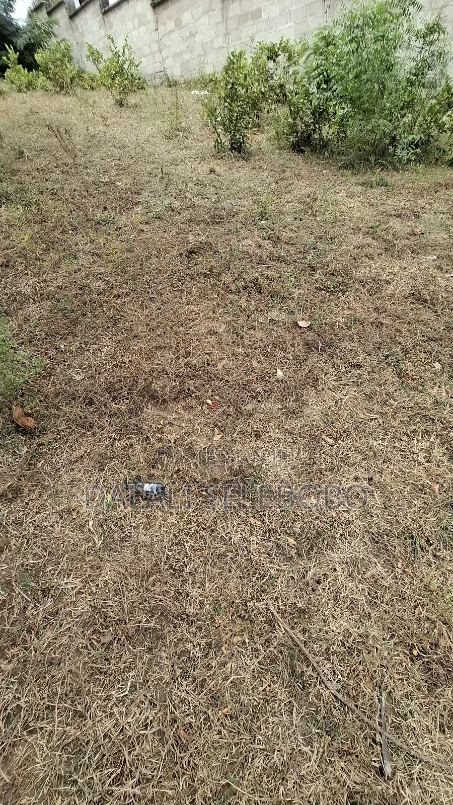 Plot at Dodoma Michese Mkonze Nice Area