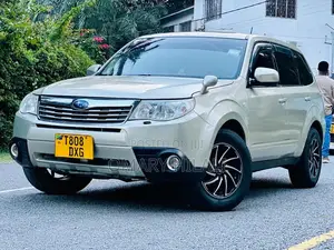 Subaru Forester 2009 Silver