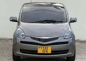 Toyota Ractis 2009 Gray
