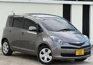 Toyota Ractis 2009 Gray