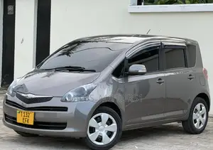 Toyota Ractis 2009 Gray