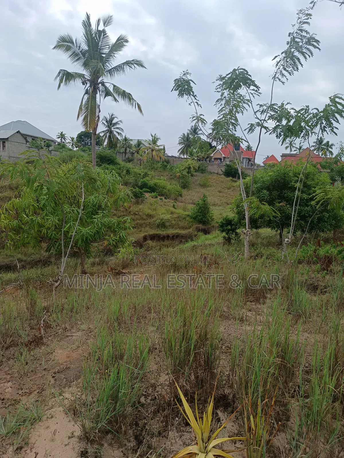 Yard for Sale in Toangoma