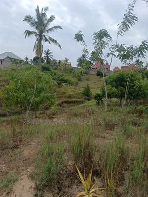 Yard for Sale in Toangoma