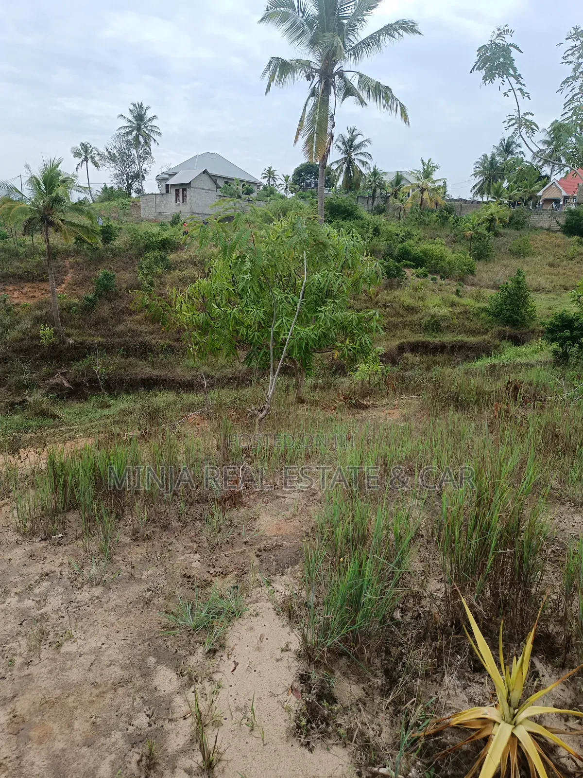 Yard for Sale in Toangoma