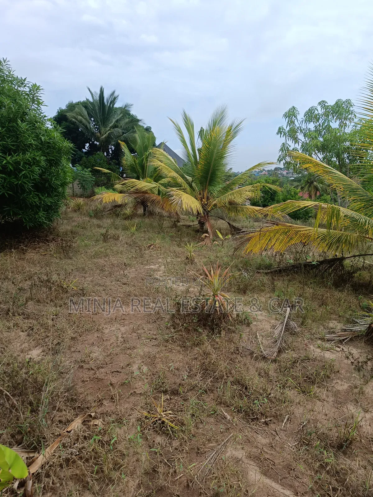 Yard for Sale in Toangoma