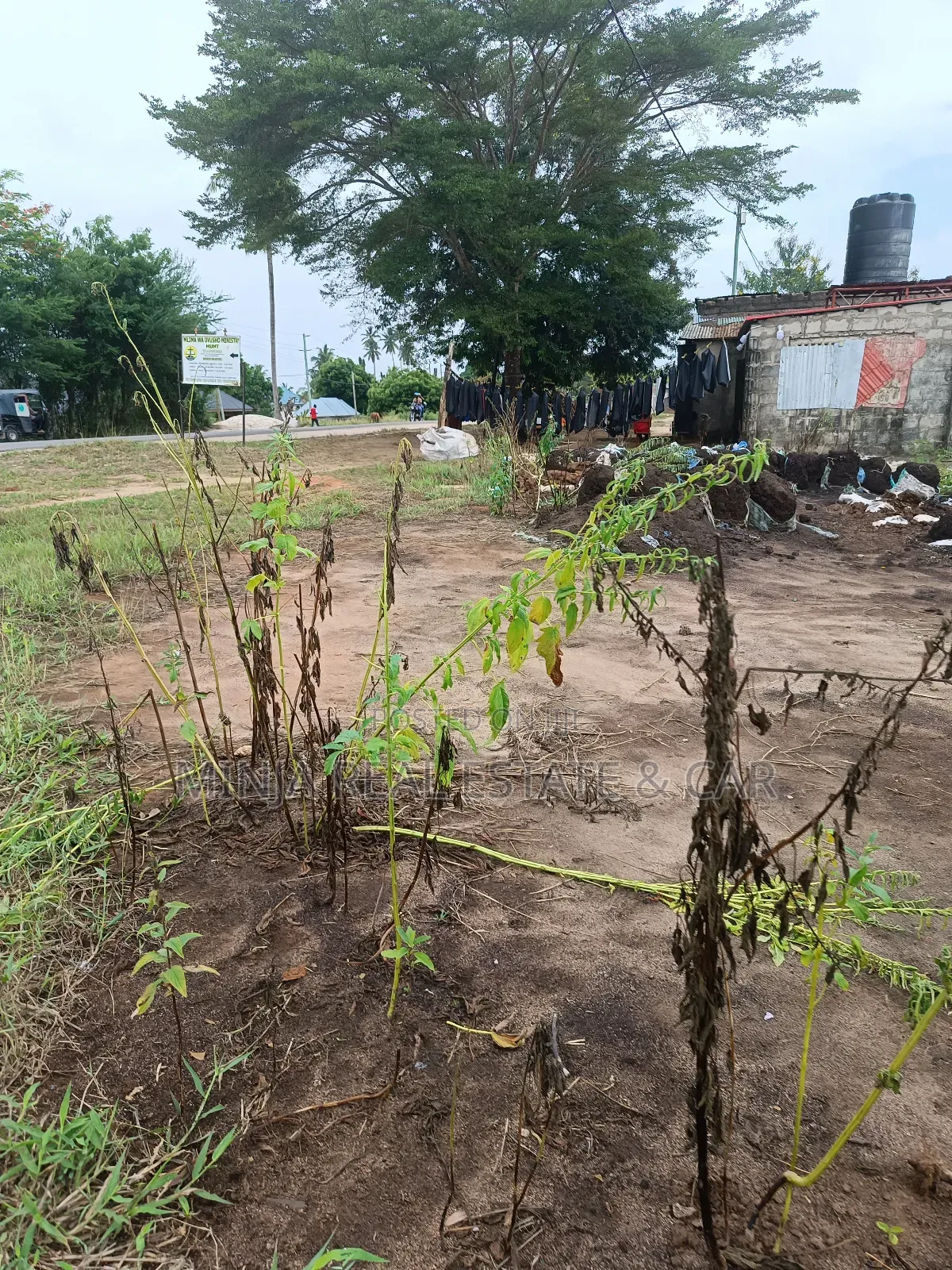 Yard for Sale in Toangoma